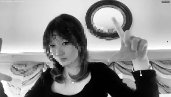 panel, a webcam sketch