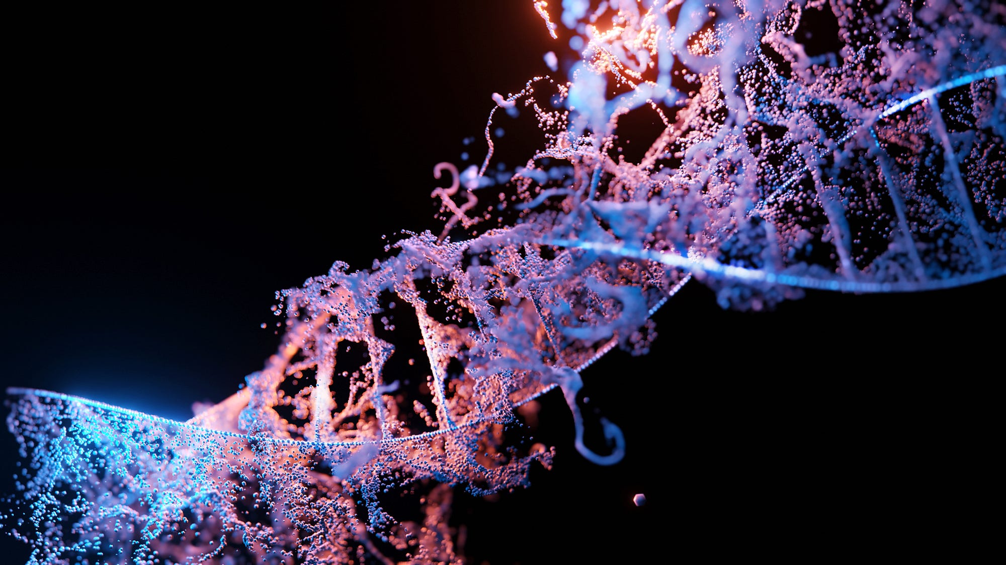 Illustration of a DNA double helix